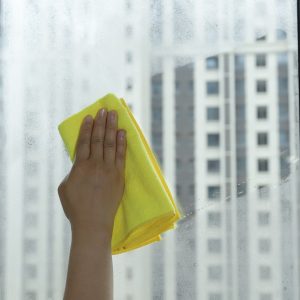 Value Pack Microfiber Cleaning Towels Set of 36 Quick Drying Eco Friendly and Multi Surface Cost Effective Choice for Cars and Household